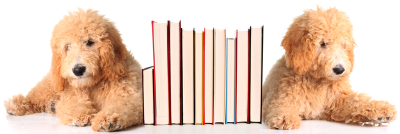 How Businesses Can Improve Their Packaging and Cardboard Disposal Methods